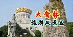操肥B中国浙江-绍兴大香林旅游风景区